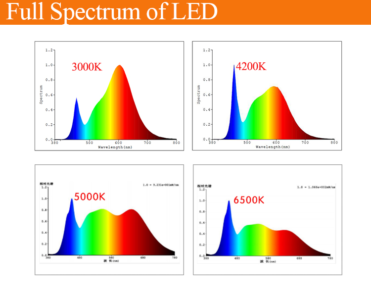 What determines the color temperature of lamp led lights