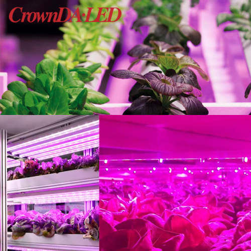 Horticultural lighting will be a growing market.