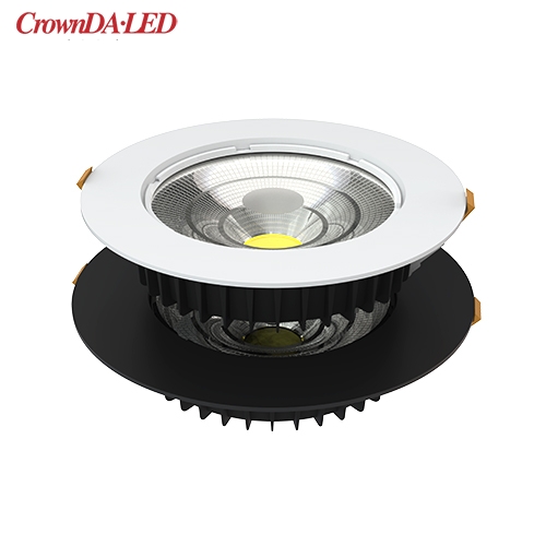 1-10V 20W Schwarz-Weiß-Downlight