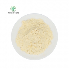Non GMO Natto Extract 20000 FU/G Nattokinase Powder