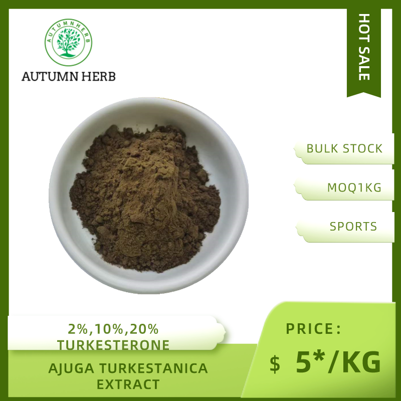 Ajuga turkestanica extract 10% turkesterone