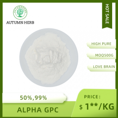 Best Quality 50% 99% Cas 28319-77-9 Alpha Gpc Powder