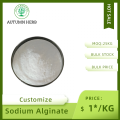 Bulk Food Grade Alginate Sodium