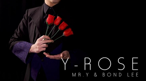 Y-Rose by Mr.Y