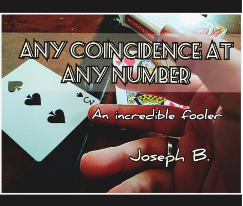 ANY COINCIDENCE AT ANY NUMBER By Joseph B