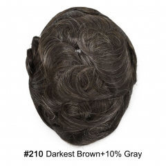 210# Darkest Brown with 10% Grey