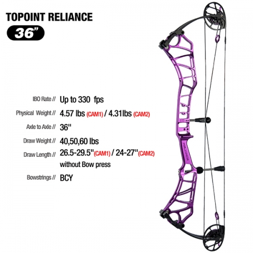 Topoint Reliance 36