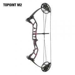 Topoint M2