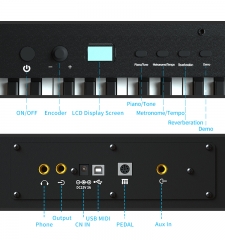 BX5 Hammer Action Piano | Weighted keyboard Digital Piano