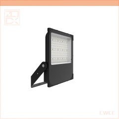 SPLE 70w 100w Energy Saving Weather Resistance Reliablity Led Flood Light Efficient Floodlight