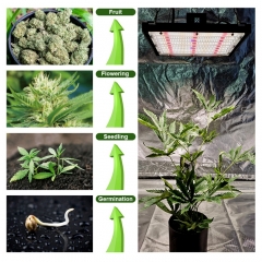 PGL150 药用植物补光 亚马逊热卖 植物帐篷室内植物全光谱生长灯 植物生长补光灯