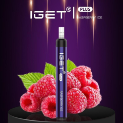 IGET Plus 1200 Puffs Vape Pen