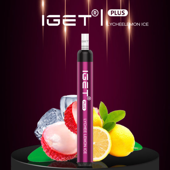 IGET Plus 1200 Puffs Vape Pen