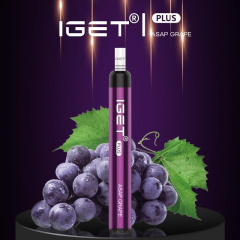 IGET Plus 1200 Puffs Vape Pen