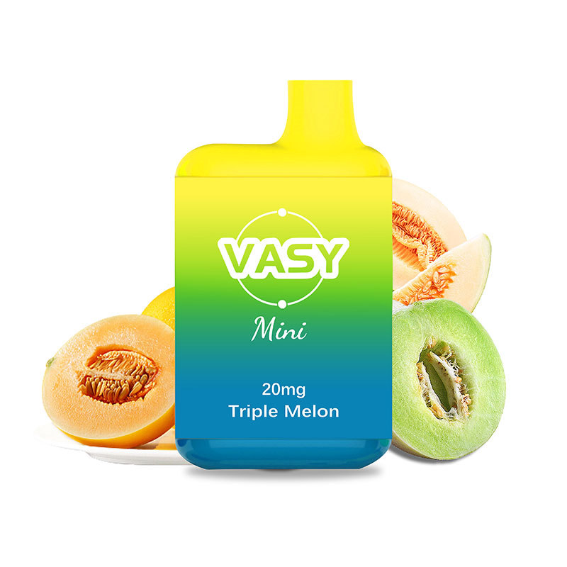 VASY Mini 600 Puffs Disposable Pod Device TPD Approved