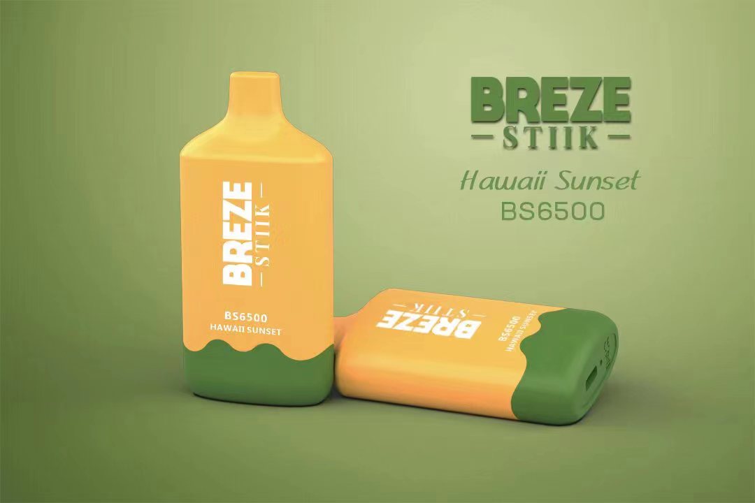 BREZE STIIK BS6500 Vape Disposable Device