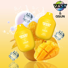 VASY & QSUN Q800 Disposable Vape 2ml 800 Puffs TPD