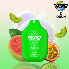 VASY Q600 Disposable Vape 600 Puffs