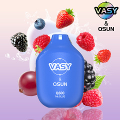 VASY Q600 Disposable Vape 600 Puffs