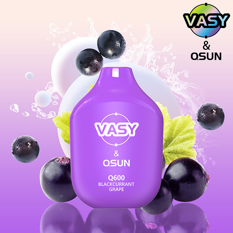 VASY Q600 Disposable Vape 600 Puffs