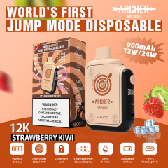 ARCHER 12000 Puffs Disposable Vape with Childproof Lock
