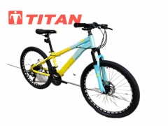 TITAN Adult Mountain Bike, Steel Frame