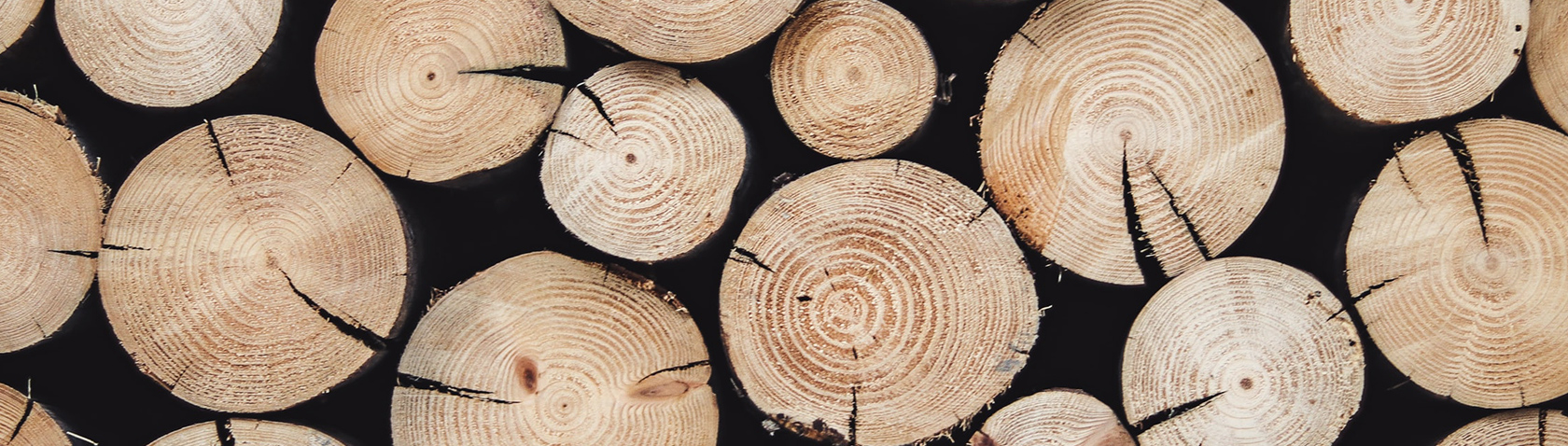 Safe and Sustainable Wood Resource