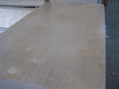 Birch Plywood UV finished