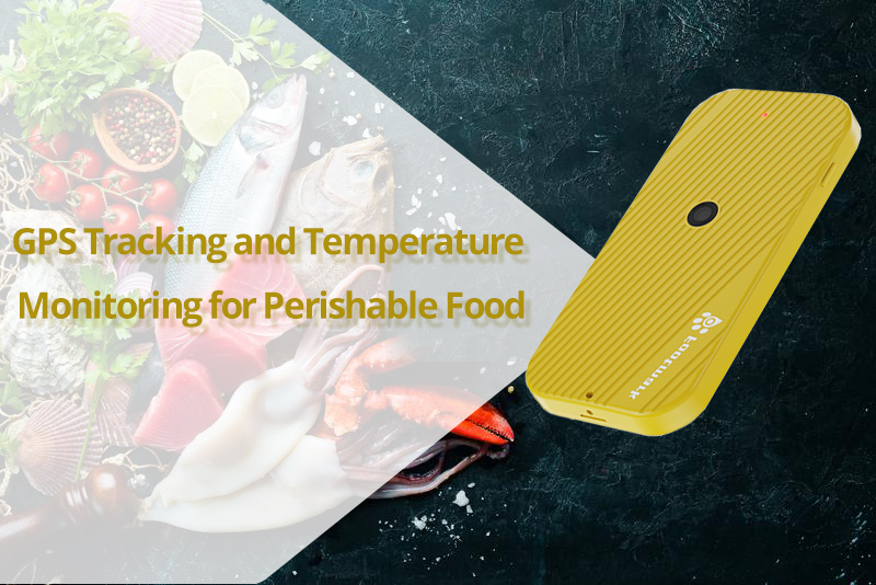 How GPS Tracking Devices Can Be Applied in Perishable Food Shipping