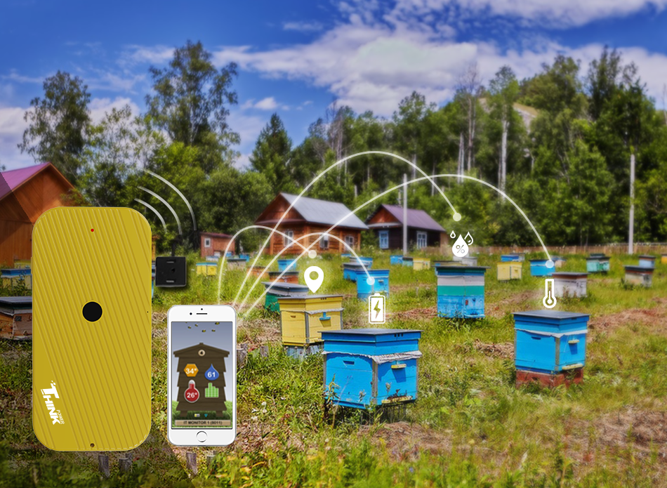 Stop the Beehives from Being Theft -- Beehives Monitoring Solution