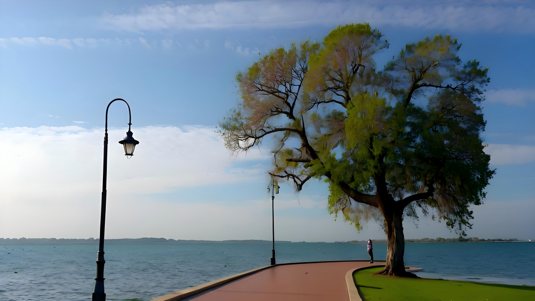 The Distinctive Features of Smart Streetlights Compared to Traditional Ones