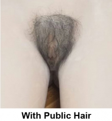 With Public Hair (+20usd)