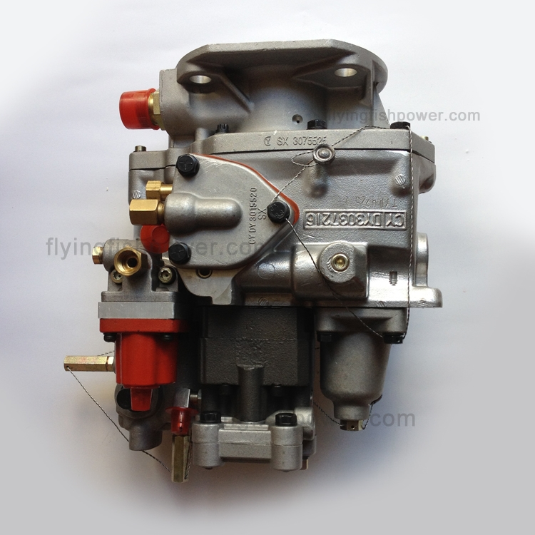 Cummins NTA855 NT855 Engine Parts Fuel Injection Pump 4951495