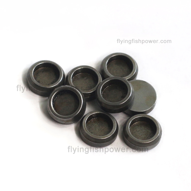 Wholesale Cummins B3.3 Engine Parts Valve Stem Cap 6204414550