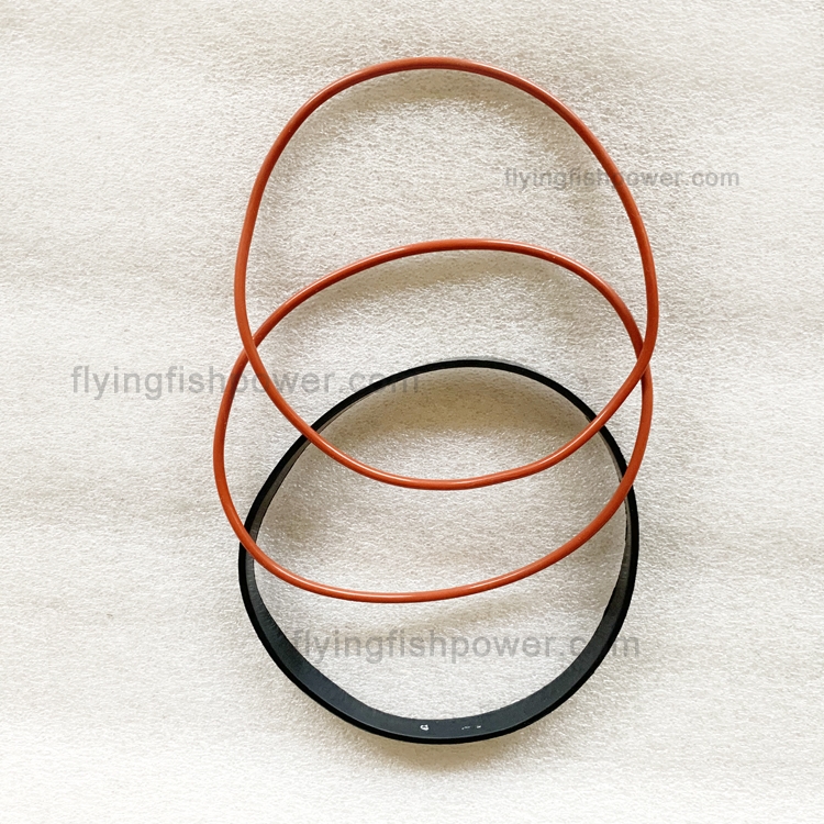 Cummins NT855 N14 Engine Parts Cylinder Liner Seal Kit 3800174