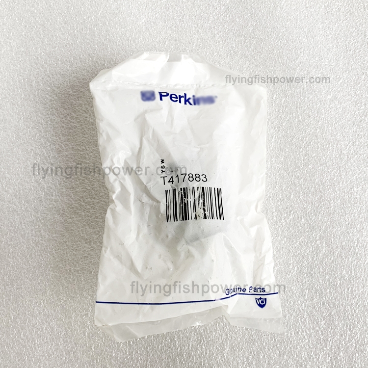 Ressort de soupape de moteur, vente en gros, pièces de moteur d'origine Perkins T417883