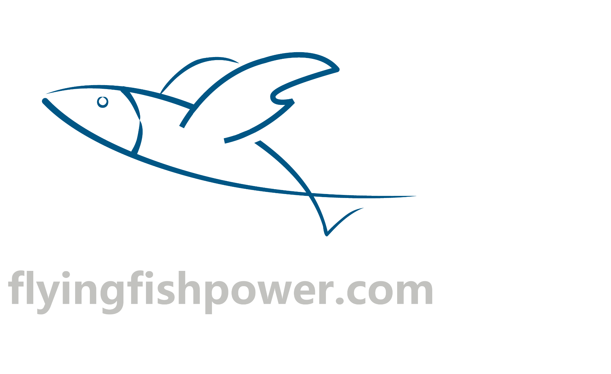 Shiyan Flyingfish Power Co., Ltd.