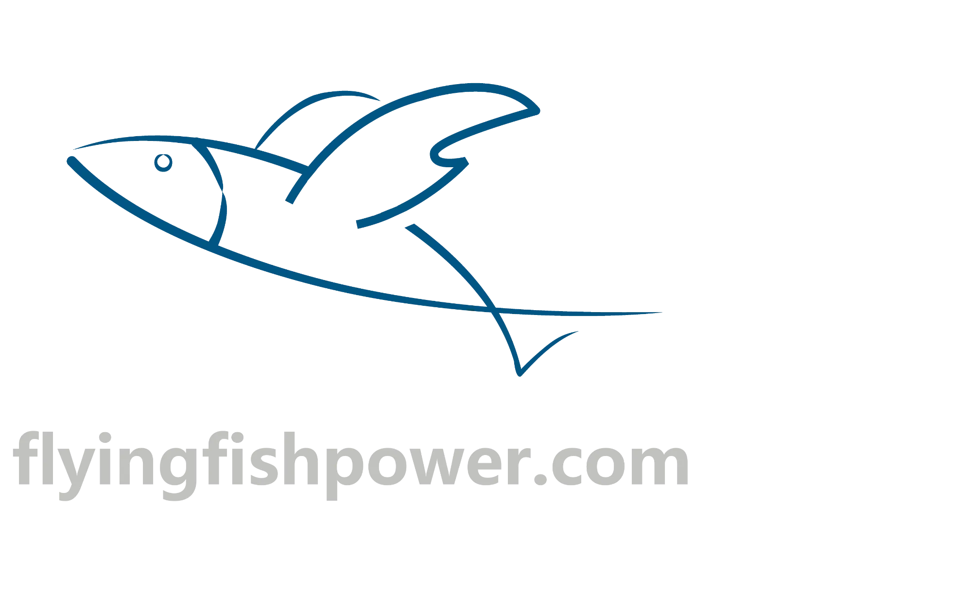 Shiyan Flyingfish Power Co., Ltd.