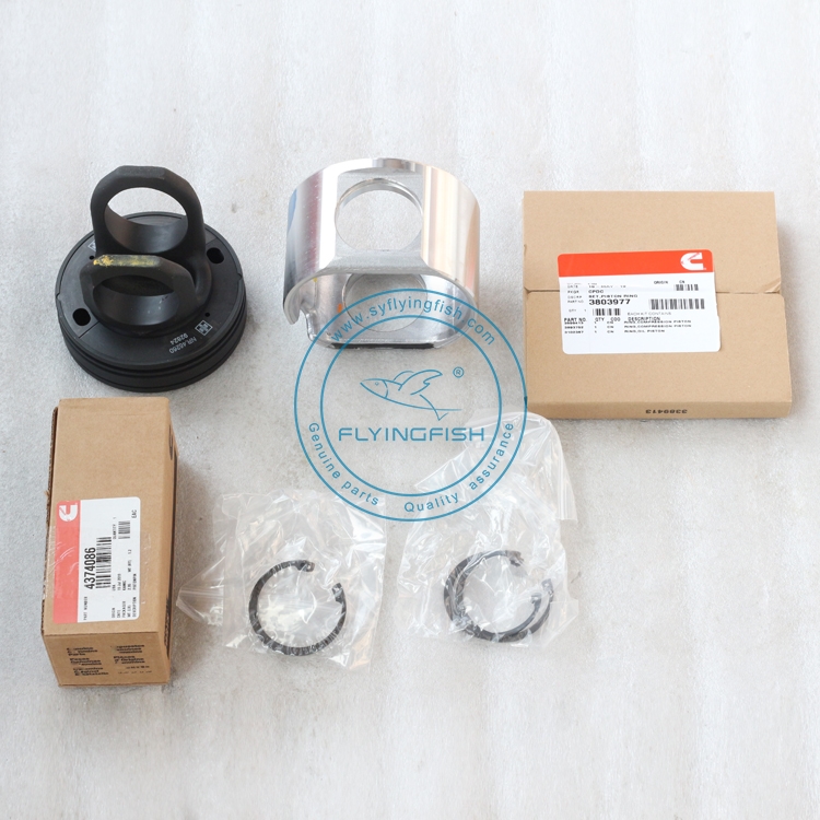 Wholesale 4089865 3103752 Genuine Quality Piston Kit for Cummins M11 ISM11 QSM11 Engine Parts
