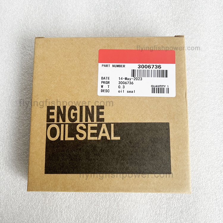Cummins NTA855 NT855 Engine Parts Oil Seal 3006736