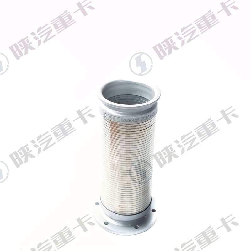 SHACMAN DeLong X3000 tubo flexible DZ95259540322