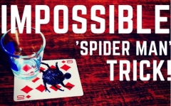 Superhero Card Trick By Jay Sankey