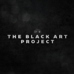 Black Art Project By Will Tsai & Sansminds