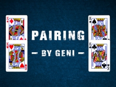 Pairing by Geni