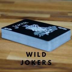 Wild Jokers by Aaron Lewis