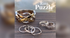 Puzzle Ring (Online Instructions) by Voitko Voitko