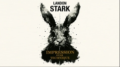 Impression Over Technique by Landon Stark