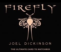 Firefly by Joel Dickinson