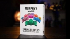 SPRING FLOWERS (2 PK PAPER) by Murphy’s Magic