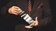 Blank Deck by Zee